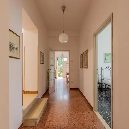 Windrose Sunny Corner * Pisa