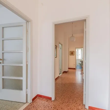 Windrose Sunny Corner