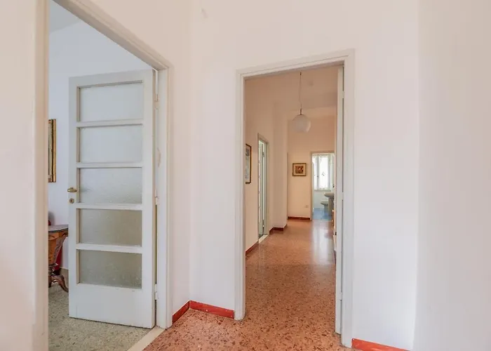 Windrose Sunny Corner