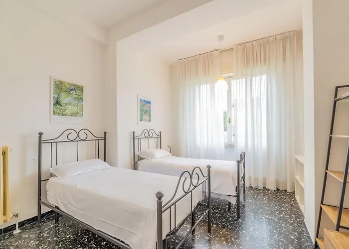 Windrose Sunny Corner Pisa